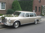 Bild: Auto 1 mit Hochzeitsschmuck